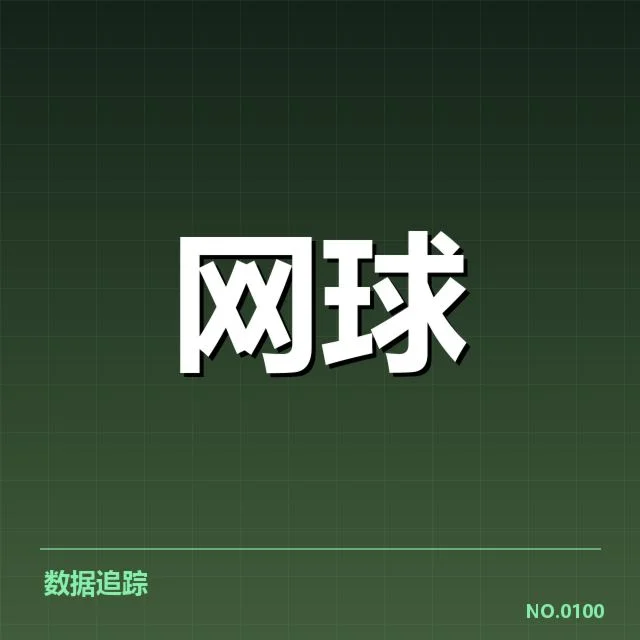 WTA巡回赛伤病恢复:顶尖选手健康挑战解读